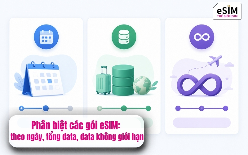 Phân biệt các gói eSIM: theo ngày, tổng data, data không giới hạn